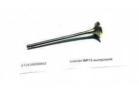 Клапан выпускной WP12
